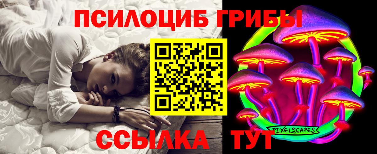 Псилоцибиновые грибы Cubensis  Галлюциногенные грибы мицелий  Вход с VPN  Тихвин 